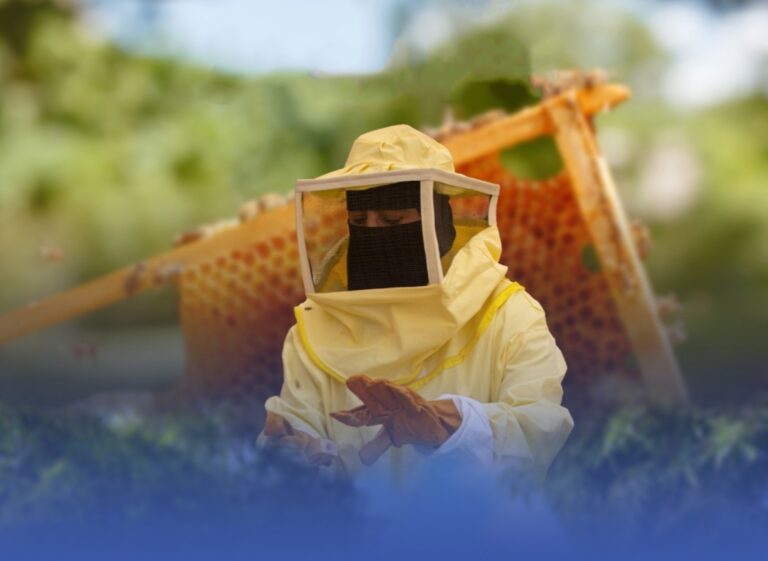 جهود-حكومية-لتعزيز-تربية-النحل-وإنتاج-العسل-بعسير