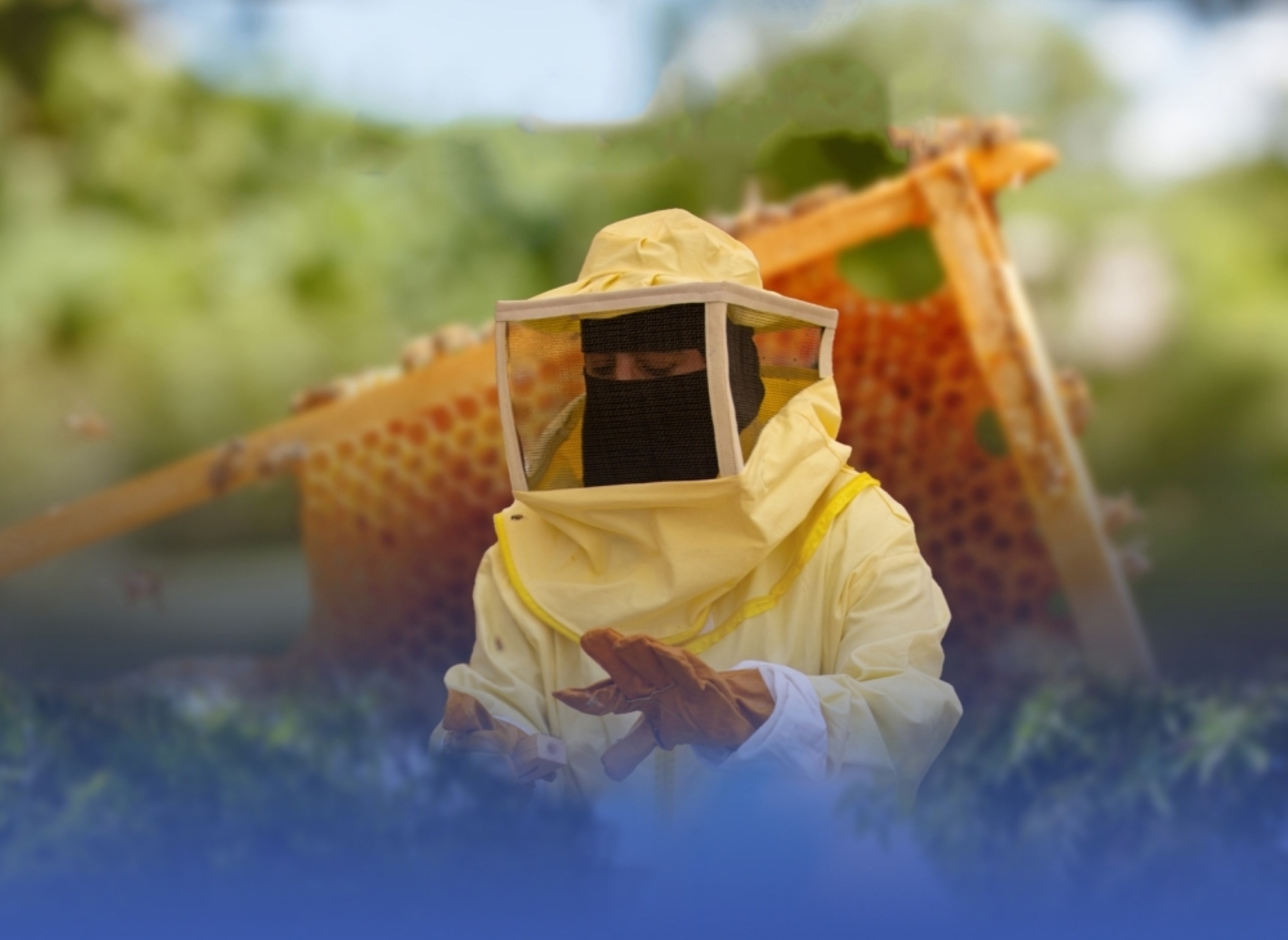 جهود-حكومية-لتعزيز-تربية-النحل-وإنتاج-العسل-بعسير