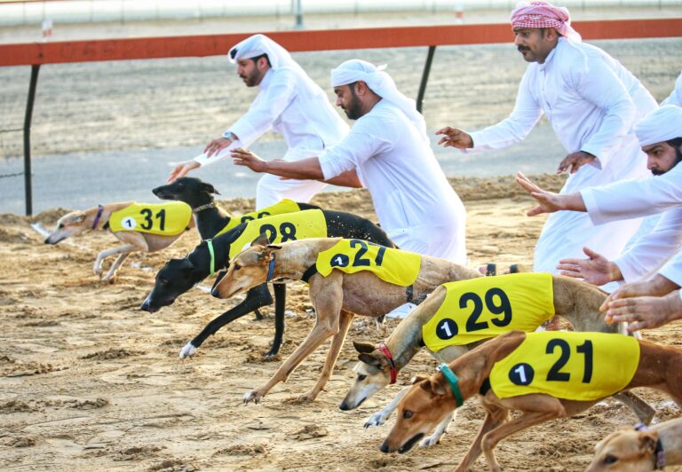 تأهل-42-سلقا-إلى-نهائيات-بطولة-السلق-الـ19-في-المرموم