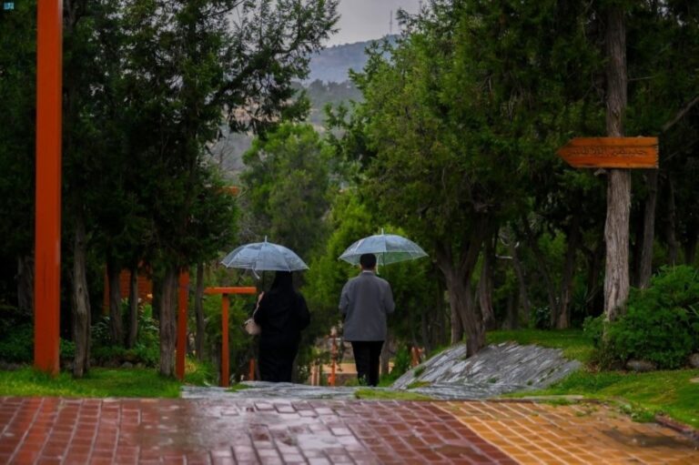 تواصل-الحالة-المطرية-على-7-مناطق