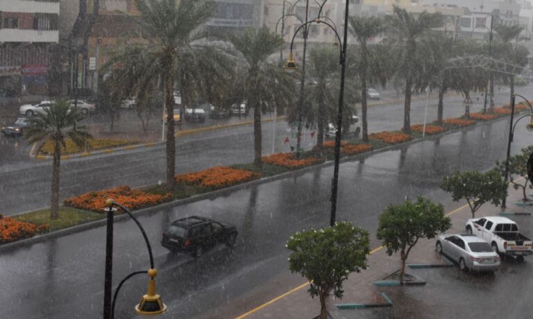 الإمارات.-أمطار-متفرقة-على-الدولة-الخميس-لمدة-5-أيام