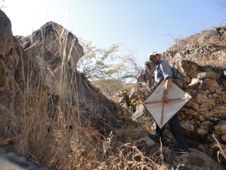 اكتشاف-4-أنواع-جديدة-من-العناكب-وتسجيل-12-تصنيفاً-لأول-مرة-في-الإمارات