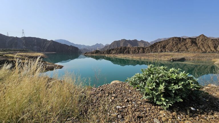 الأمطار-الموسمية-تعزز-الموارد-المائية-في-محمية-وادي-الوريعة-بالفجيرة