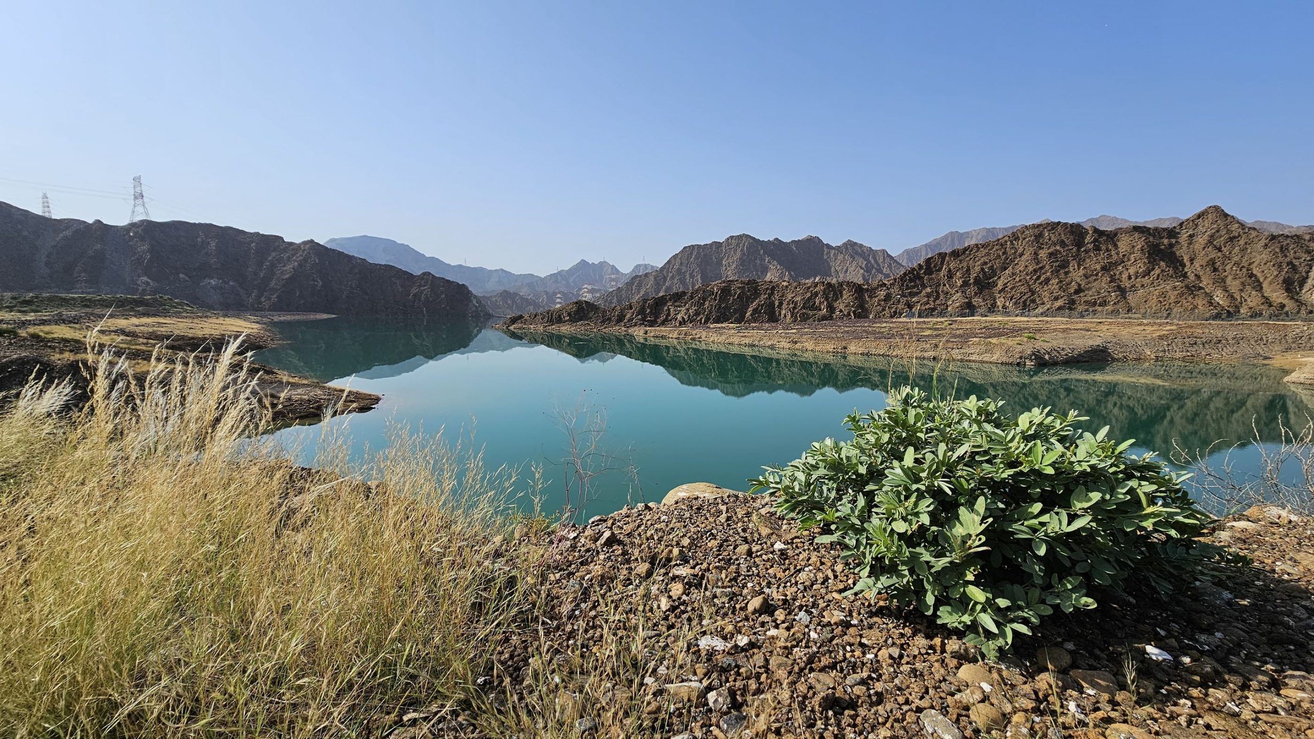 الأمطار-الموسمية-تعزز-الموارد-المائية-في-محمية-وادي-الوريعة-بالفجيرة