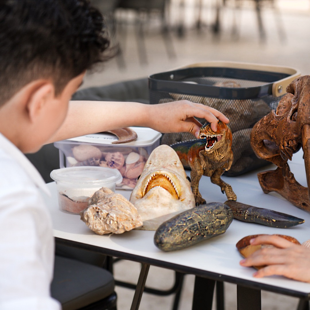 منتزه-مليحة-الوطني-يطلق-سلسلة-ورش-عمل-تفاعلية-وتعليمية