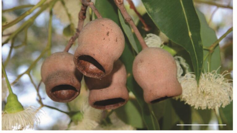 جامعة-نيويورك-أبوظبي-تنجز-دراسة-بحثية-لتطوير-مواد-مبتكرة-مقاومة-للصدمات