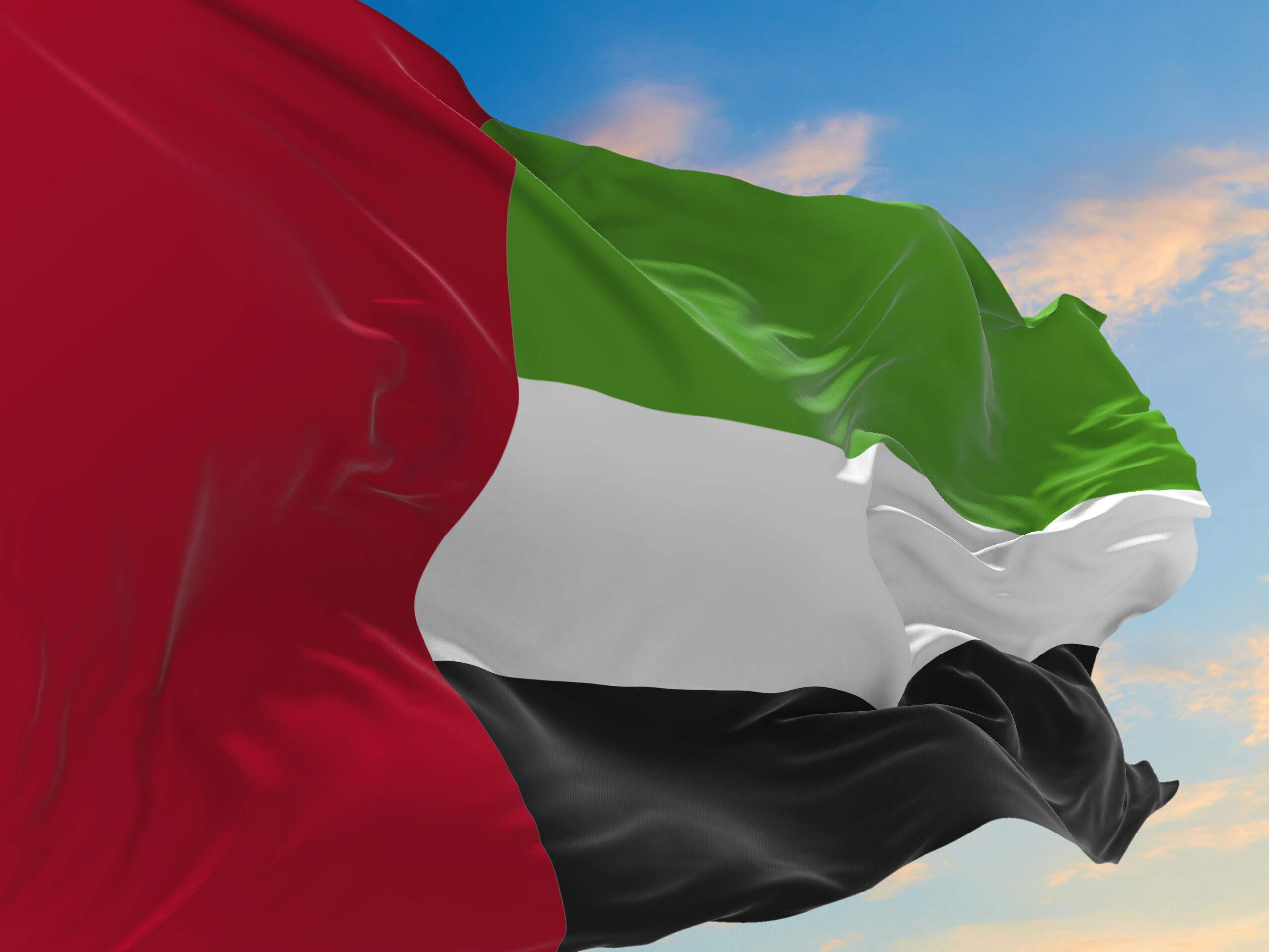 الإمارات-/-مبادرات-إنسانية-ومساهمات-مالية-لتسريع-جهود-القضاء-على-الملاريا-حول-العالم