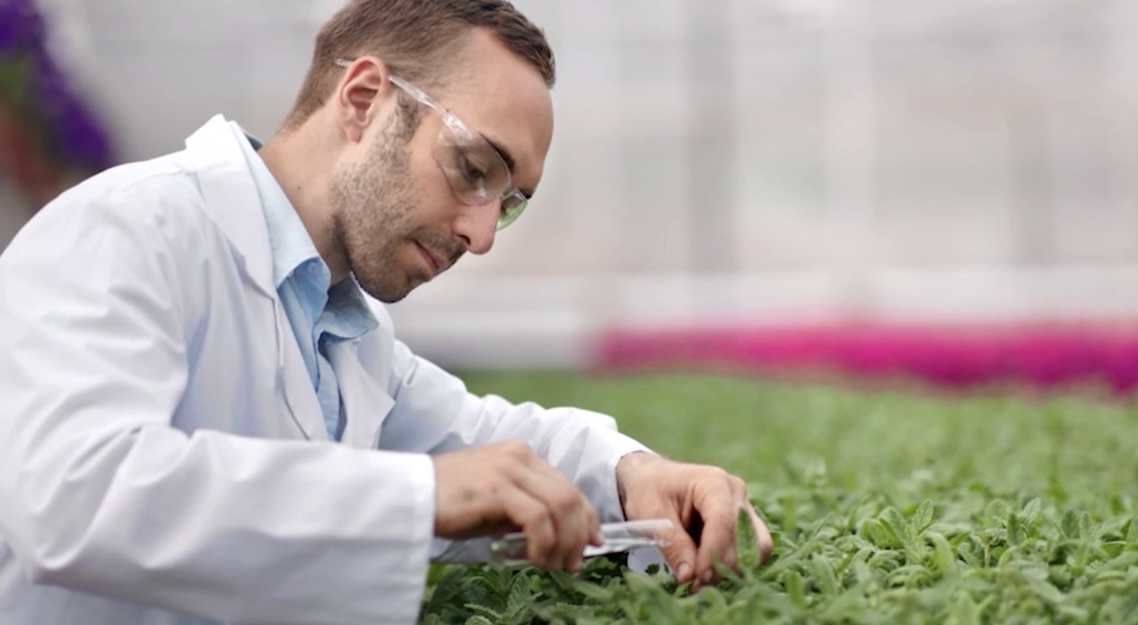 مركز-أبحاث-الفجيرة-يطلق-برامج-بحثية-ومبادرات-تقنية-لتطوير-الزراعة-الصحراوية-المستدامة