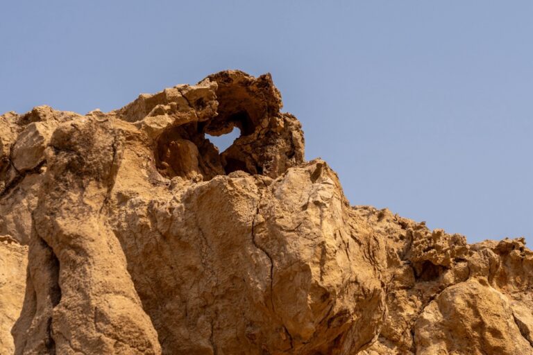 كبرى-المؤسسات-البحثية-العالمية-تتنافس-للحصول-على-“منحة-الفاية-البحثية”