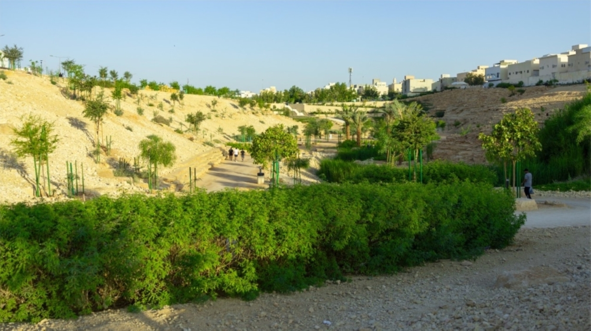 ”-أثرك-أخضر”.-فعاليات-أسبوع-البيئة-تنطلق-غدًا