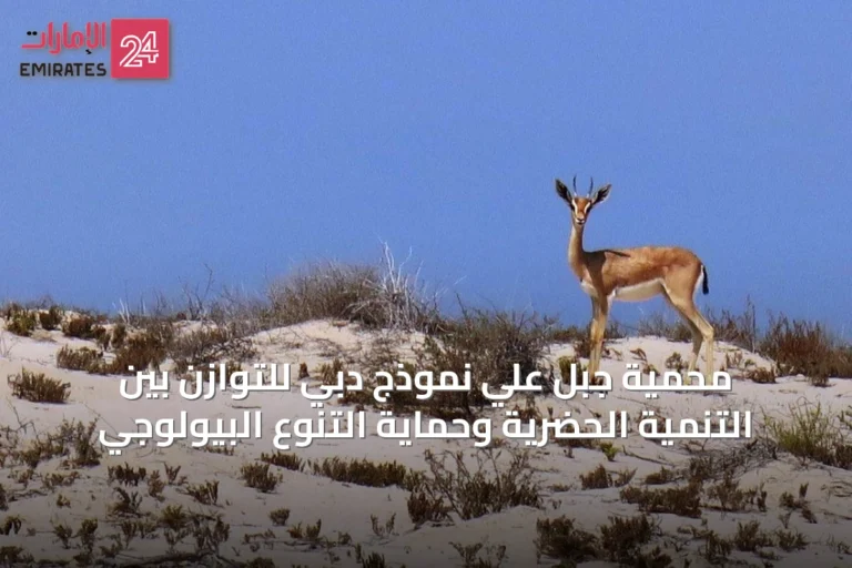 محمية جبل علي نموذج دبي للتوازن بين التنمية الحضرية وحماية التنوع البيولوجي
