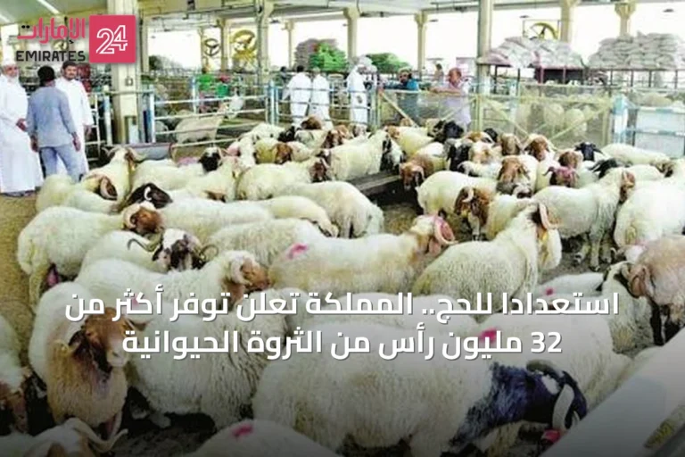 استعدادًا للحج.. المملكة تعلن توفر أكثر من 32 مليون رأس من الثروة الحيوانية