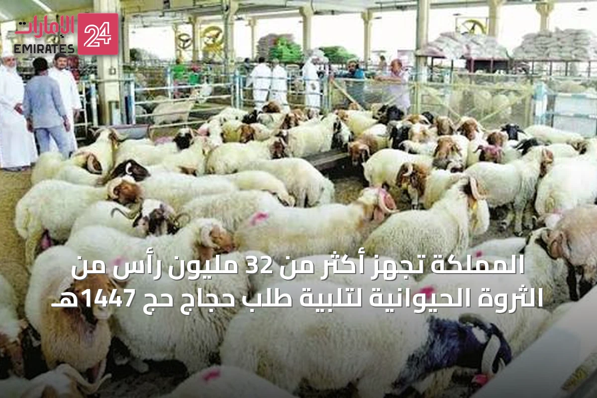 المملكة تجهّز أكثر من 32 مليون رأس من الثروة الحيوانية لتلبية طلب حجاج حج 1447هـ