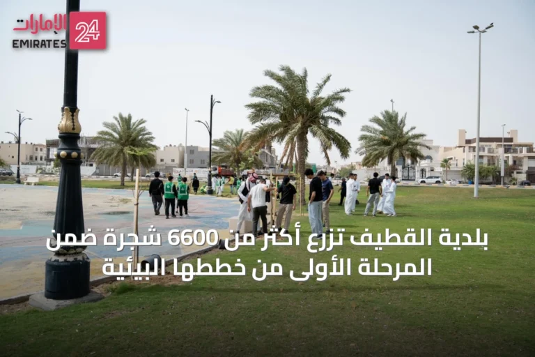 بلدية القطيف تزرع أكثر من 6600 شجرة ضمن المرحلة الأولى من خططها البيئية