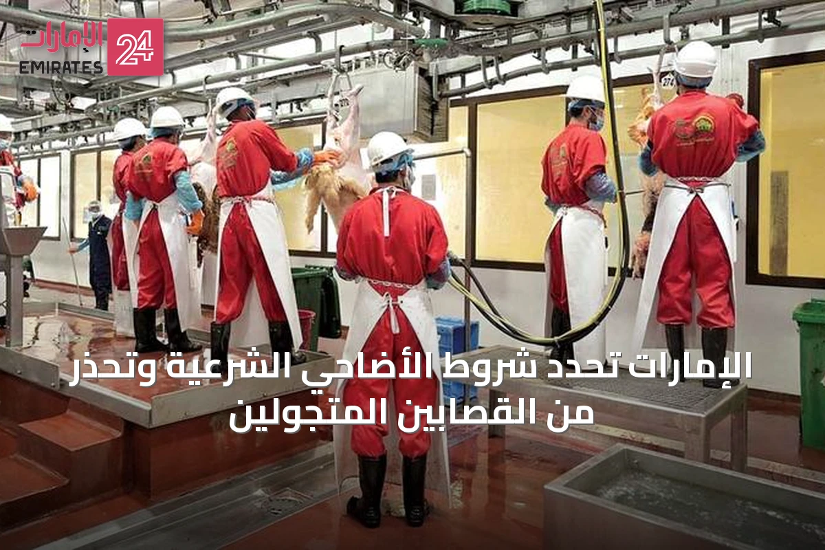 الإمارات تحدد شروط الأضاحي الشرعية وتحذر من القصابين المتجولين