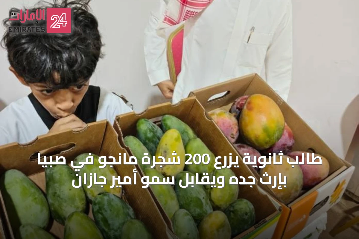 طالب ثانوية يزرع 200 شجرة مانجو في صبيا بإرث جده ويقابل سمو أمير جازان