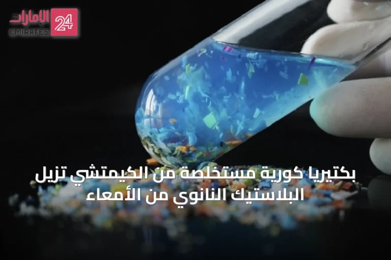 بكتيريا كورية مستخلصة من الكيمتشي تزيل البلاستيك النانوي من الأمعاء