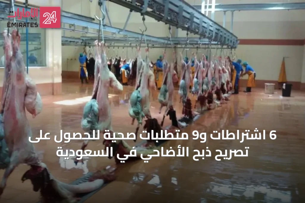 6 اشتراطات و9 متطلبات صحية للحصول على تصريح ذبح الأضاحي في السعودية