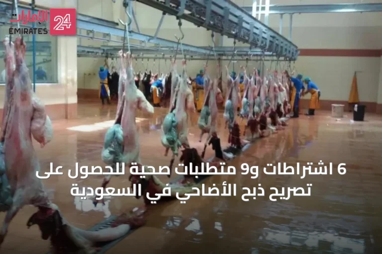 6 اشتراطات و9 متطلبات صحية للحصول على تصريح ذبح الأضاحي في السعودية