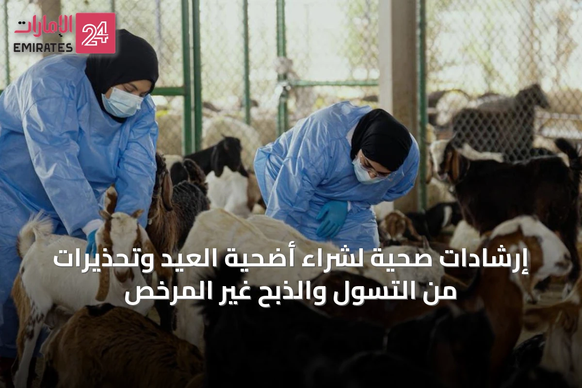 إرشادات صحية لشراء أضحية العيد وتحذيرات من التسول والذبح غير المرخص