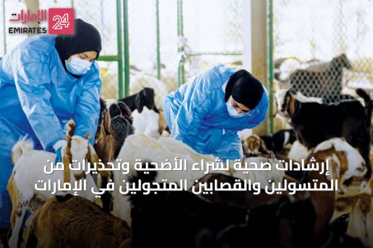 إرشادات صحية لشراء الأضحية وتحذيرات من المتسولين والقصابين المتجولين في الإمارات