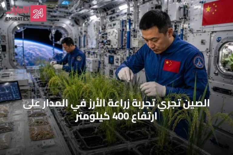 الصين تُجري تجربة زراعة الأرز في المدار على ارتفاع 400 كيلومتر