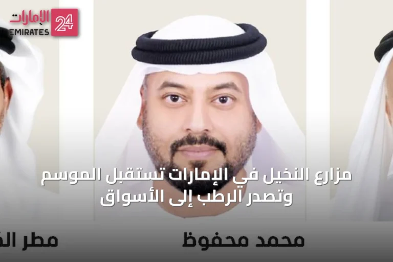 مزارع النخيل في الإمارات تستقبل الموسم وتصدر الرطب إلى الأسواق