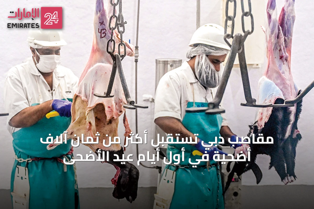 مقاصب دبي تستقبل أكثر من ثمان آلاف أضحية في أول أيام عيد الأضحى