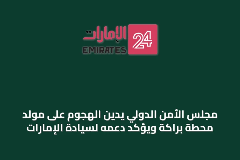 مجلس الأمن الدولي يدين الهجوم على مولد محطة براكة ويؤكد دعمه لسيادة الإمارات