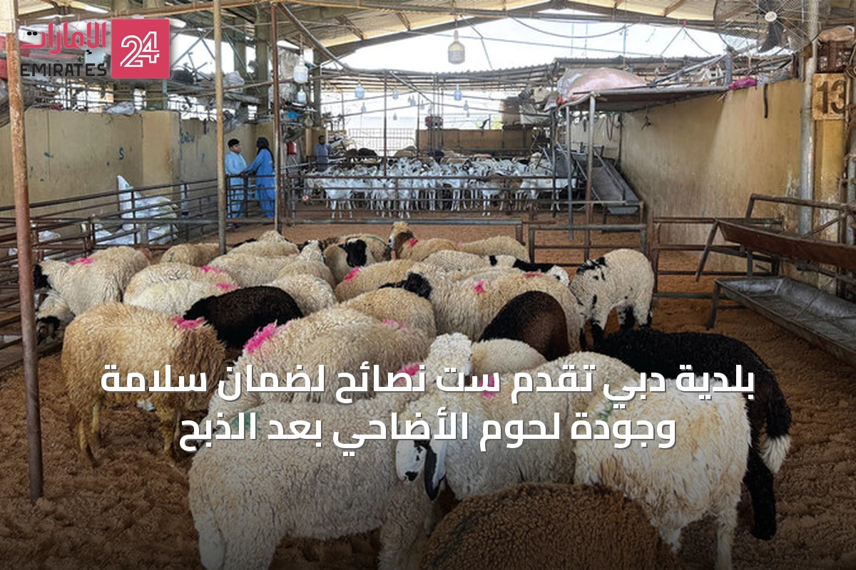 بلدية دبي تُقدِّم ست نصائح لضمان سلامة وجودة لحوم الأضاحي بعد الذبح