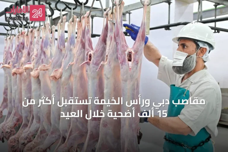 مقاصب دبي ورأس الخيمة تستقبل أكثر من 15 ألف أضحية خلال العيد