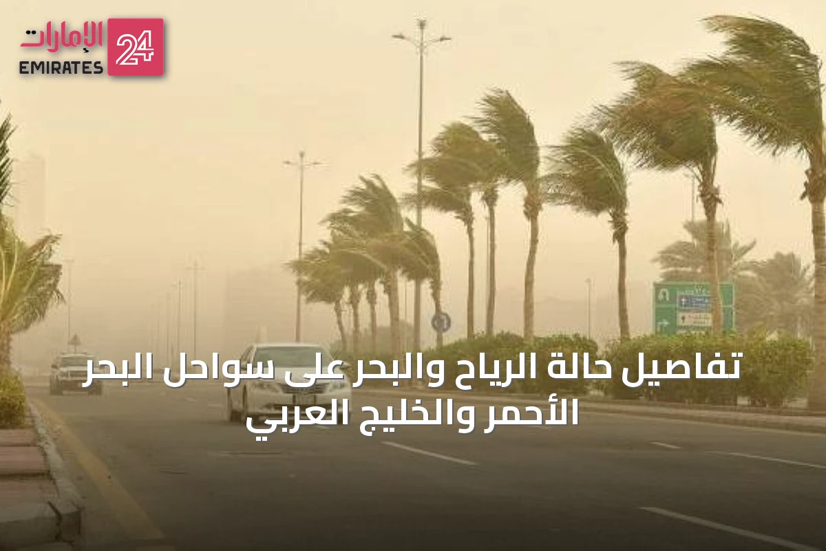 تفاصيل حالة الرياح والبحر على سواحل البحر الأحمر والخليج العربي
