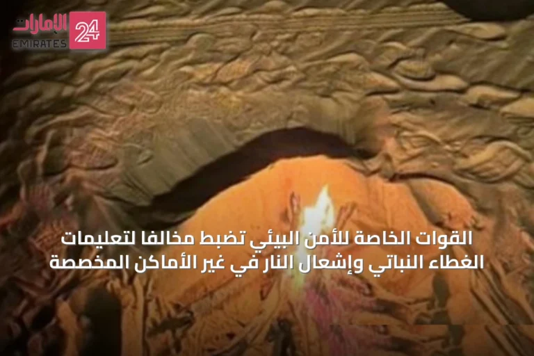 القوات الخاصة للأمن البيئي تضبط مخالفًا لتعليمات الغطاء النباتي وإشعال النار في غير الأماكن المخصصة