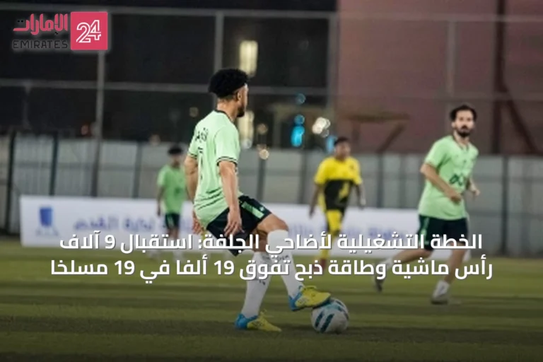 الخطة التشغيلية لأضاحي الجلفة: استقبال 9 آلاف رأس ماشية وطاقة ذبح تفوق 19 ألفًا في 19 مسلخًا