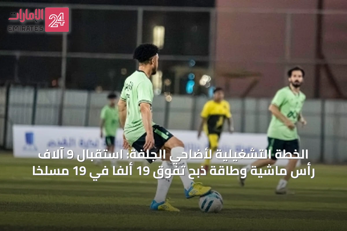 الخطة التشغيلية لأضاحي الجلفة: استقبال 9 آلاف رأس ماشية وطاقة ذبح تفوق 19 ألفًا في 19 مسلخًا