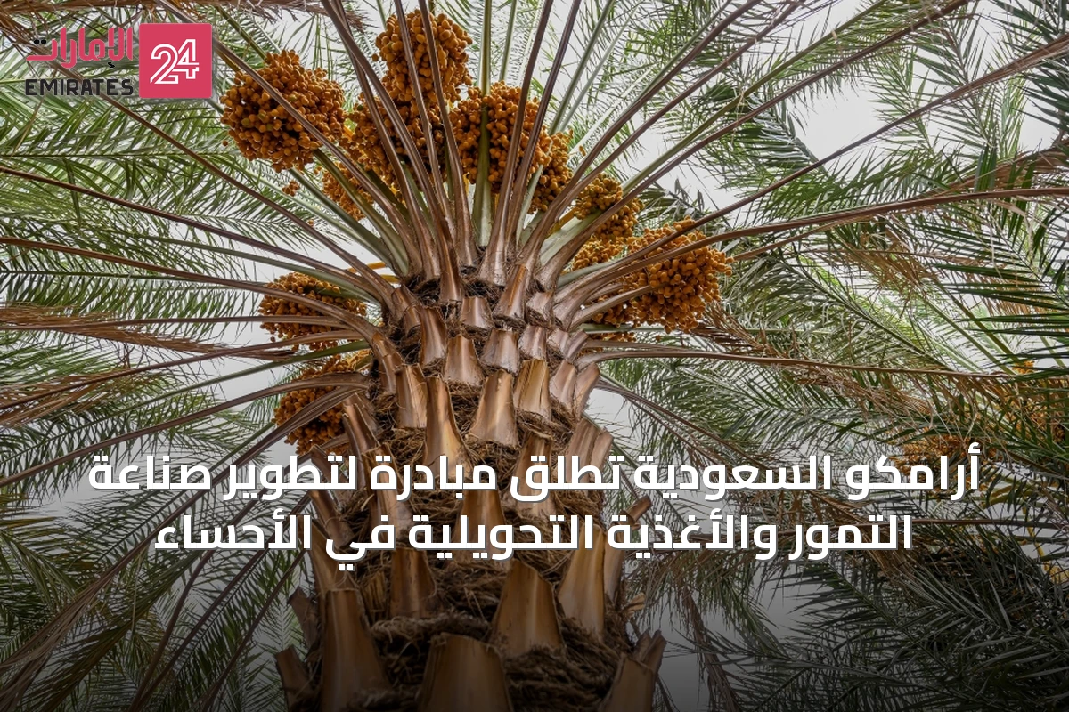 أرامكو السعودية تطلق مبادرة لتطوير صناعة التمور والأغذية التحويلية في الأحساء