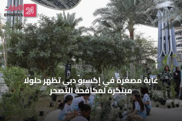 غابة مصغرة في إكسبو دبي تُظهر حلولاً مبتكرة لمكافحة التصحر