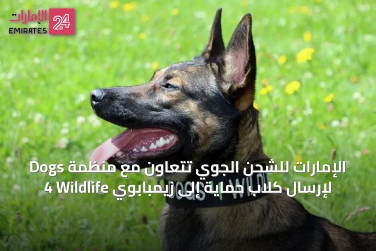 الإمارات للشحن الجوي تتعاون مع منظمة Dogs 4 Wildlife لإرسال كلاب حماية إلى زيمبابوي