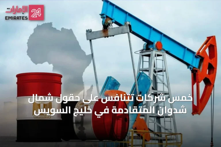 خمس شركات تتنافس على حقول شمال شدوان المتقادمة في خليج السويس