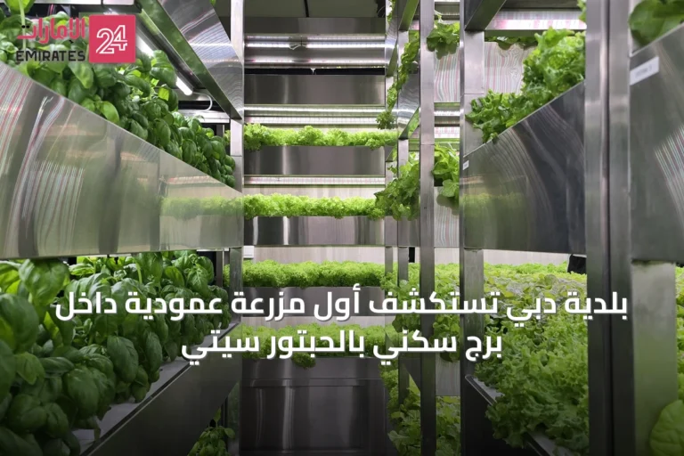 بلدية دبي تستكشف أول مزرعة عمودية داخل برج سكني بالحبتور سيتي