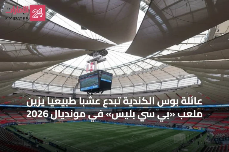 عائلة بوس الكندية تُبدع عشبًا طبيعيًا يزين ملعب «بي سي بليس» في مونديال 2026