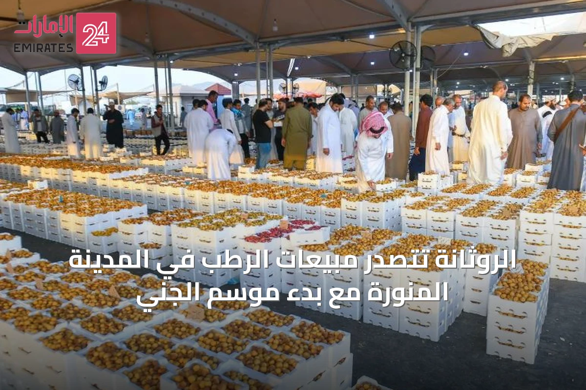 الروثانة تتصدر مبيعات الرطب في المدينة المنورة مع بدء موسم الجني