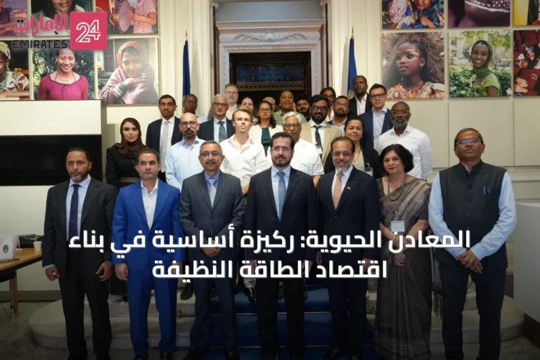 المعادن الحيوية: ركيزة أساسية في بناء اقتصاد الطاقة النظيفة