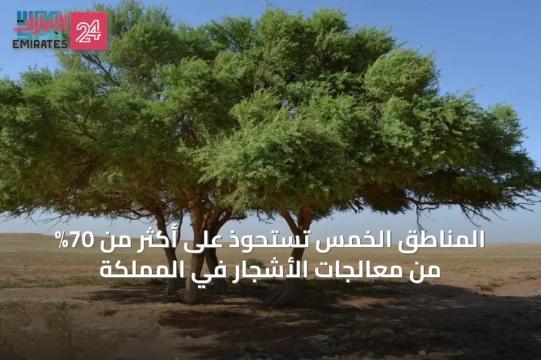 المناطق الخمس تستحوذ على أكثر من 70% من معالجات الأشجار في المملكة