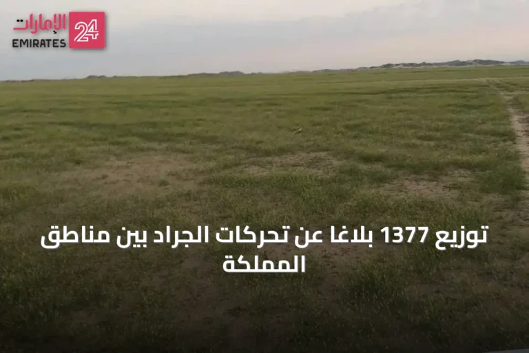 توزيع 1377 بلاغًا عن تحركات الجراد بين مناطق المملكة