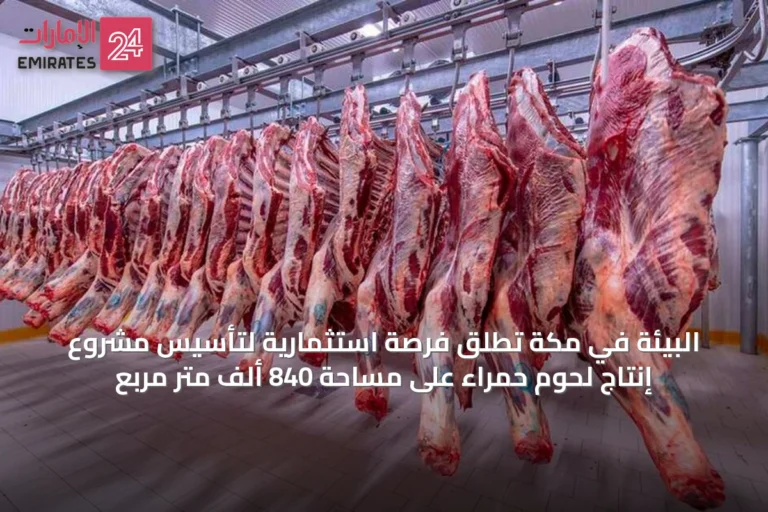 البيئة في مكة تطلق فرصة استثمارية لتأسيس مشروع إنتاج لحوم حمراء على مساحة 840 ألف متر مربع