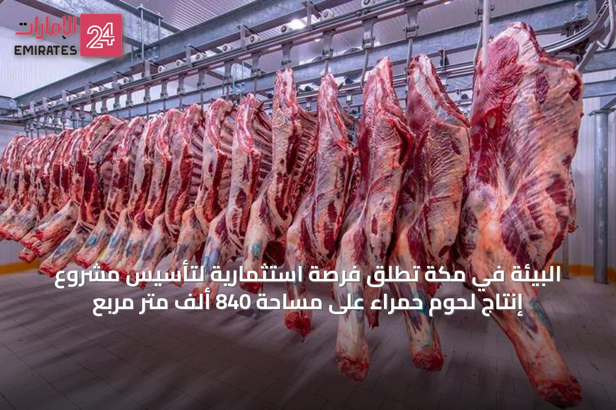 البيئة في مكة تطلق فرصة استثمارية لتأسيس مشروع إنتاج لحوم حمراء على مساحة 840 ألف متر مربع