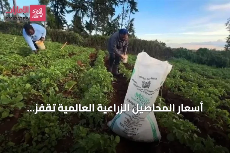 أسعار المحاصيل الزراعية العالمية تقفز لأعلى مستوى في 3 سنوات بفعل الحرب والطقس القاسي