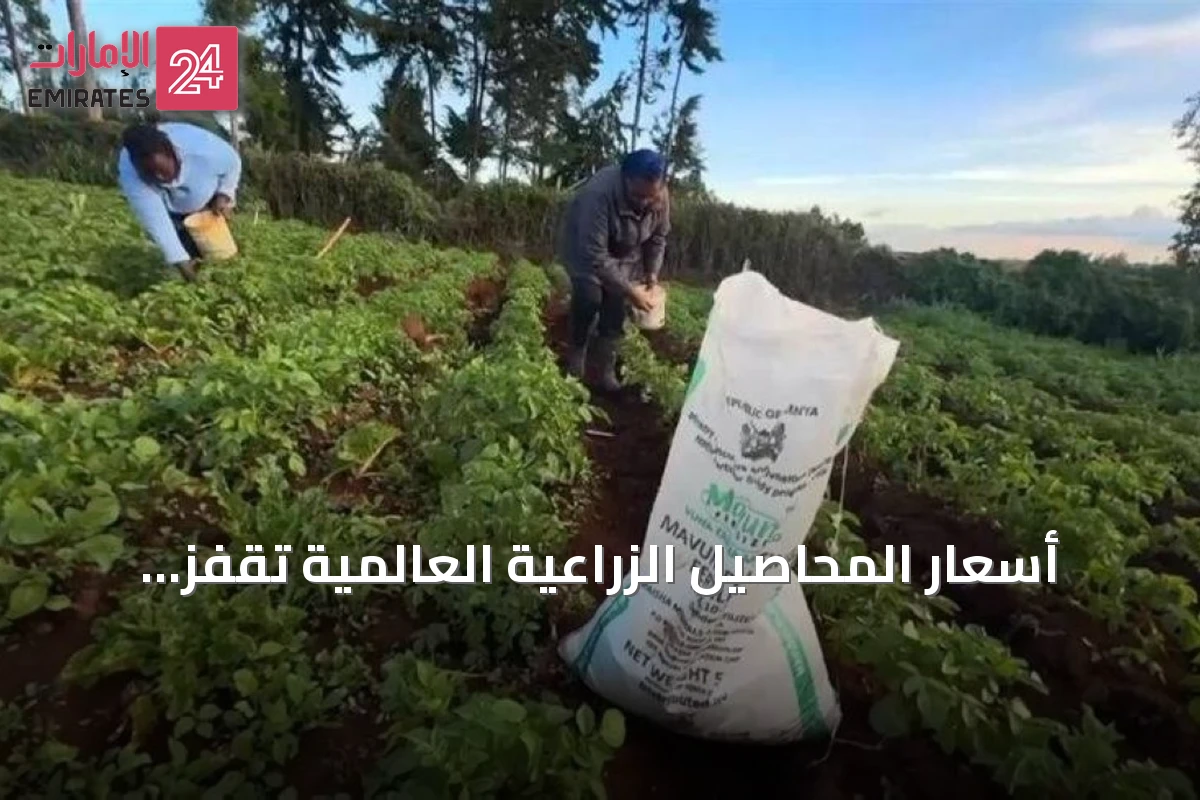 أسعار المحاصيل الزراعية العالمية تقفز لأعلى مستوى في 3 سنوات بفعل الحرب والطقس القاسي