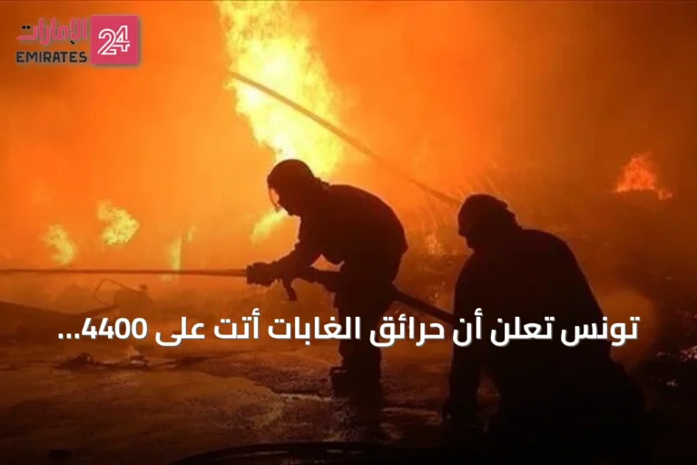 تونس تعلن أن حرائق الغابات أتت على 4400 هكتار منذ مايو 2026